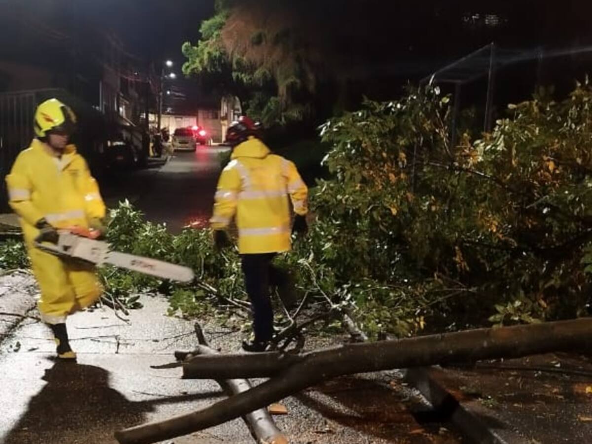 Fuertes lluvias ocasionaron inundaciones y caídas de árboles en Manizales