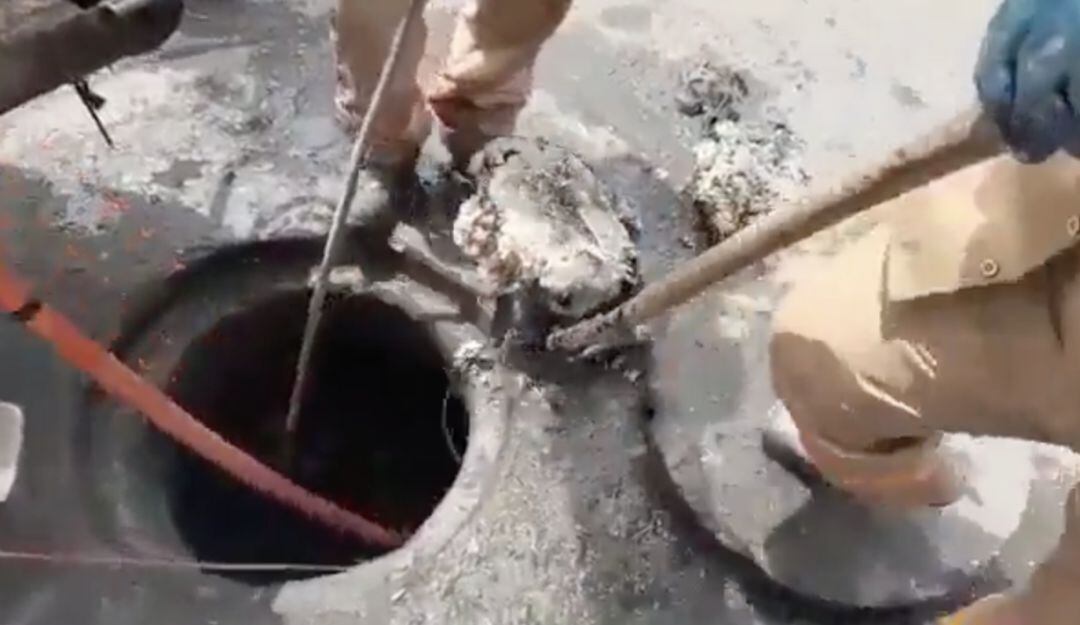 Residuos de grasa en alcantarillas de Floralia