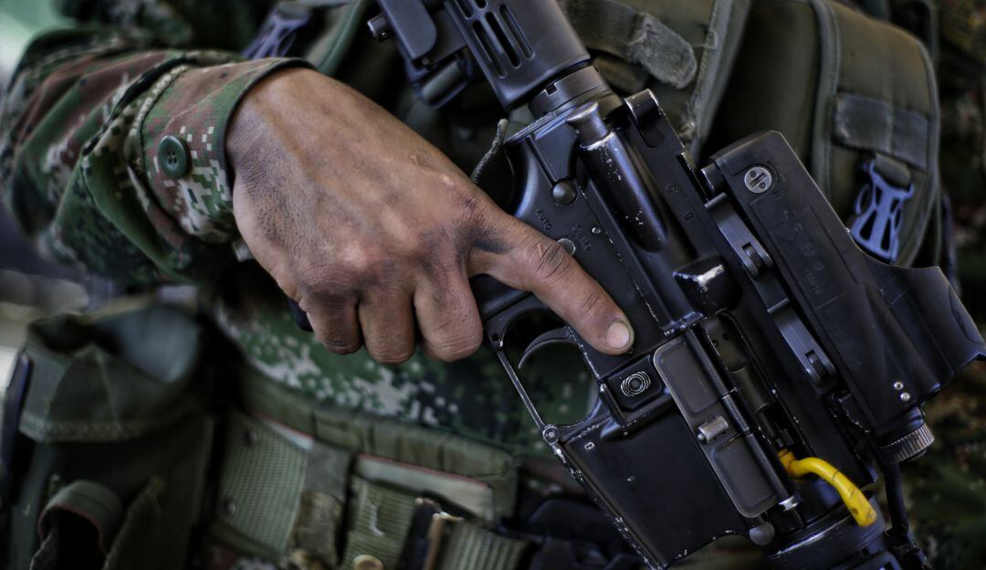 Imagen de referencia. 