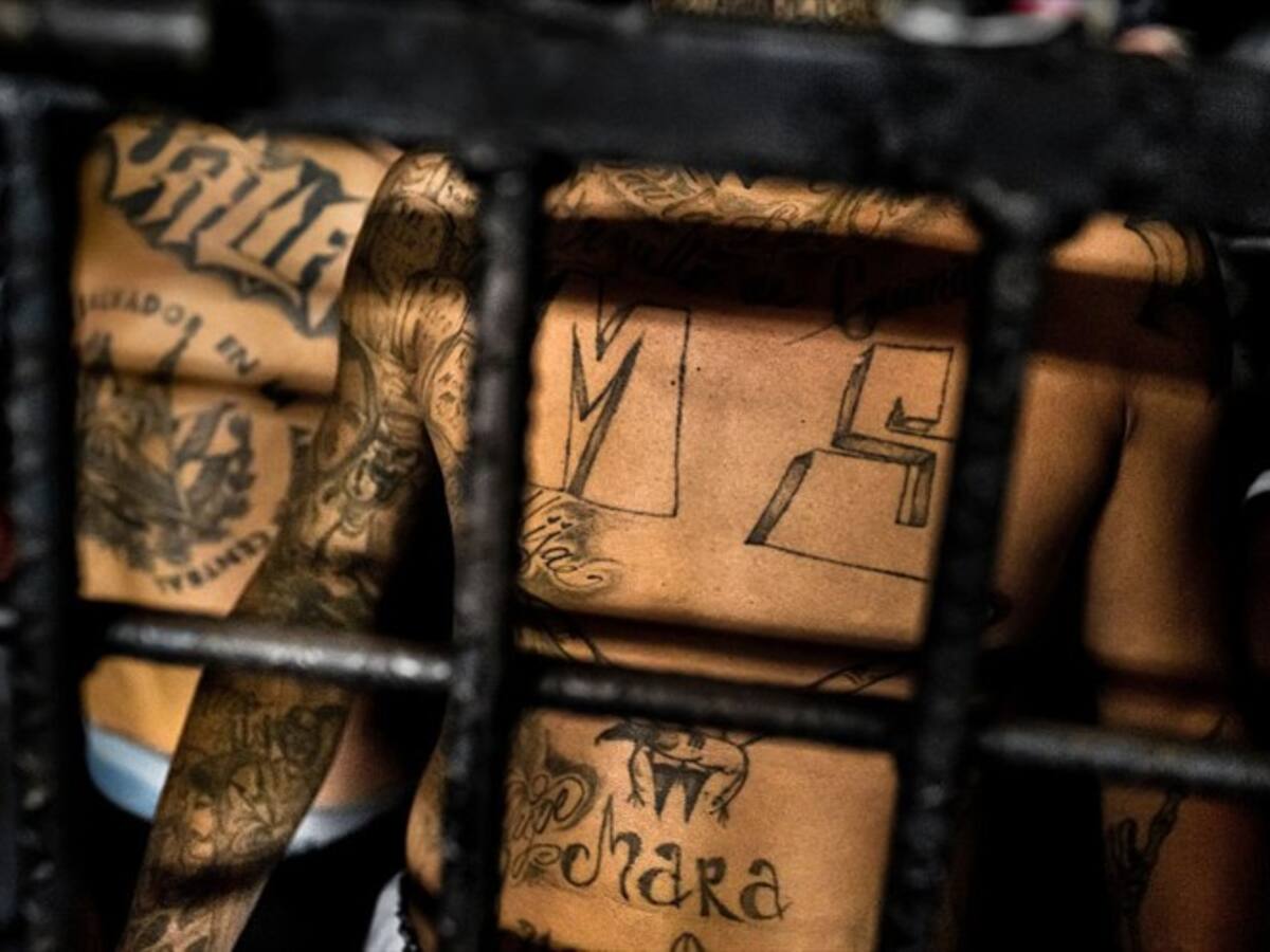 “No van a ver el sol”, las fuertes medidas del Gobierno salvadoreño contra los presos