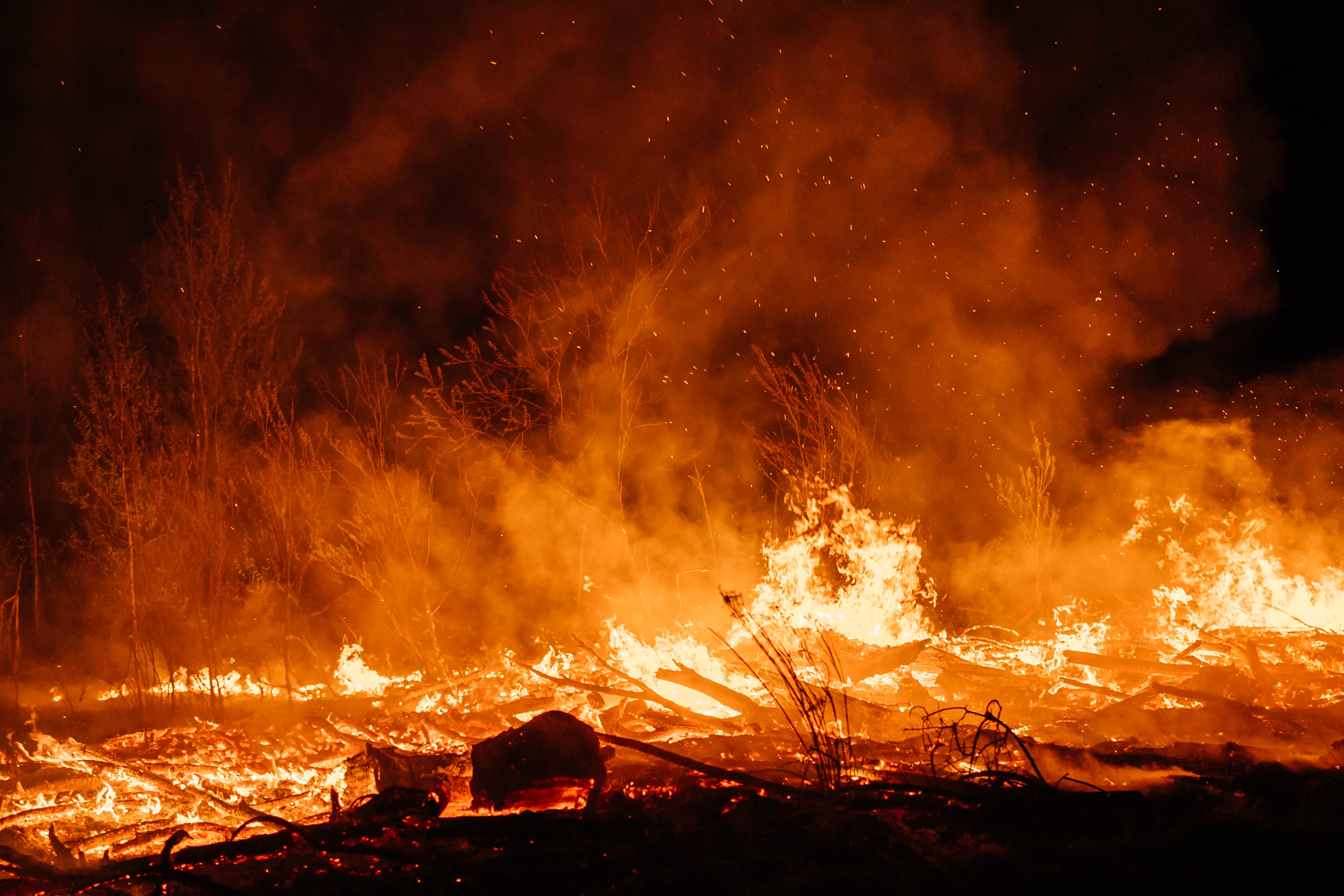 Foto: Getty Images.