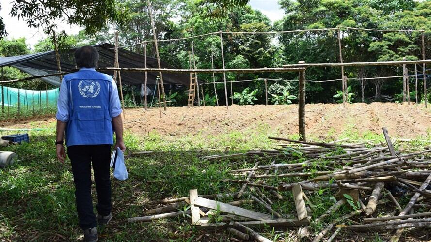 La organización internacional se pronunció ante el incremento de asesinatos de líderes sociales.. Foto: Colprensa