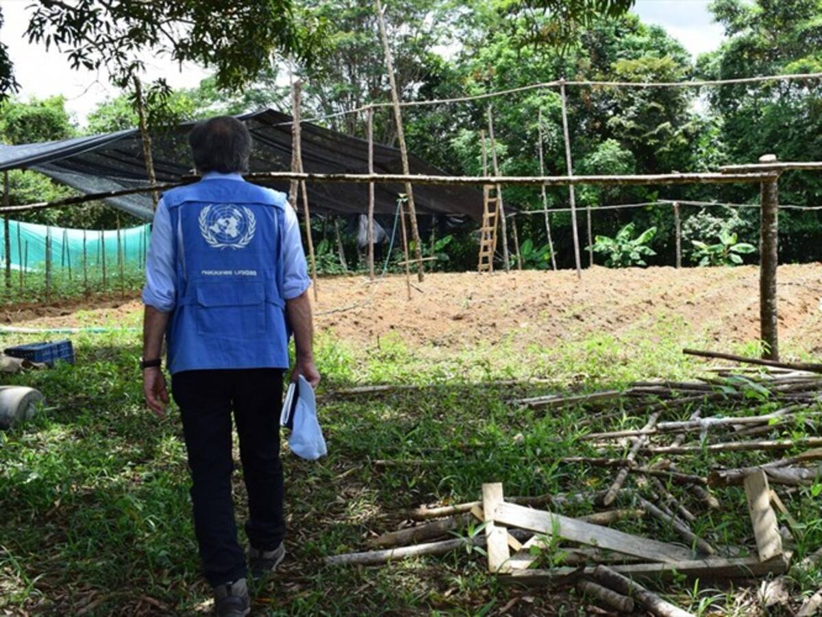 ONU advierte inseguridad en zonas rurales afectadas por el conflicto