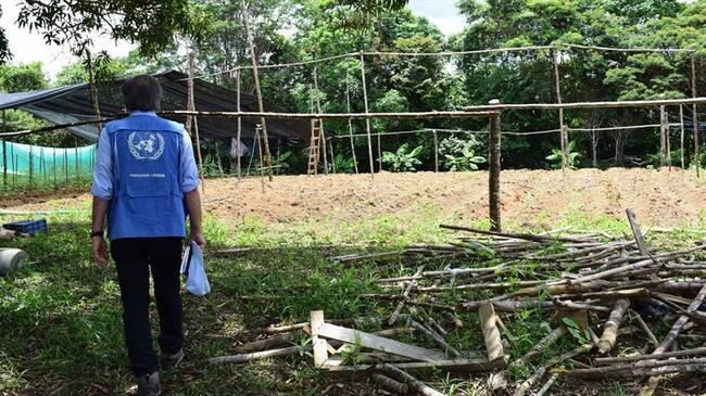 La organización internacional se pronunció ante el incremento de asesinatos de líderes sociales.. Foto: Colprensa