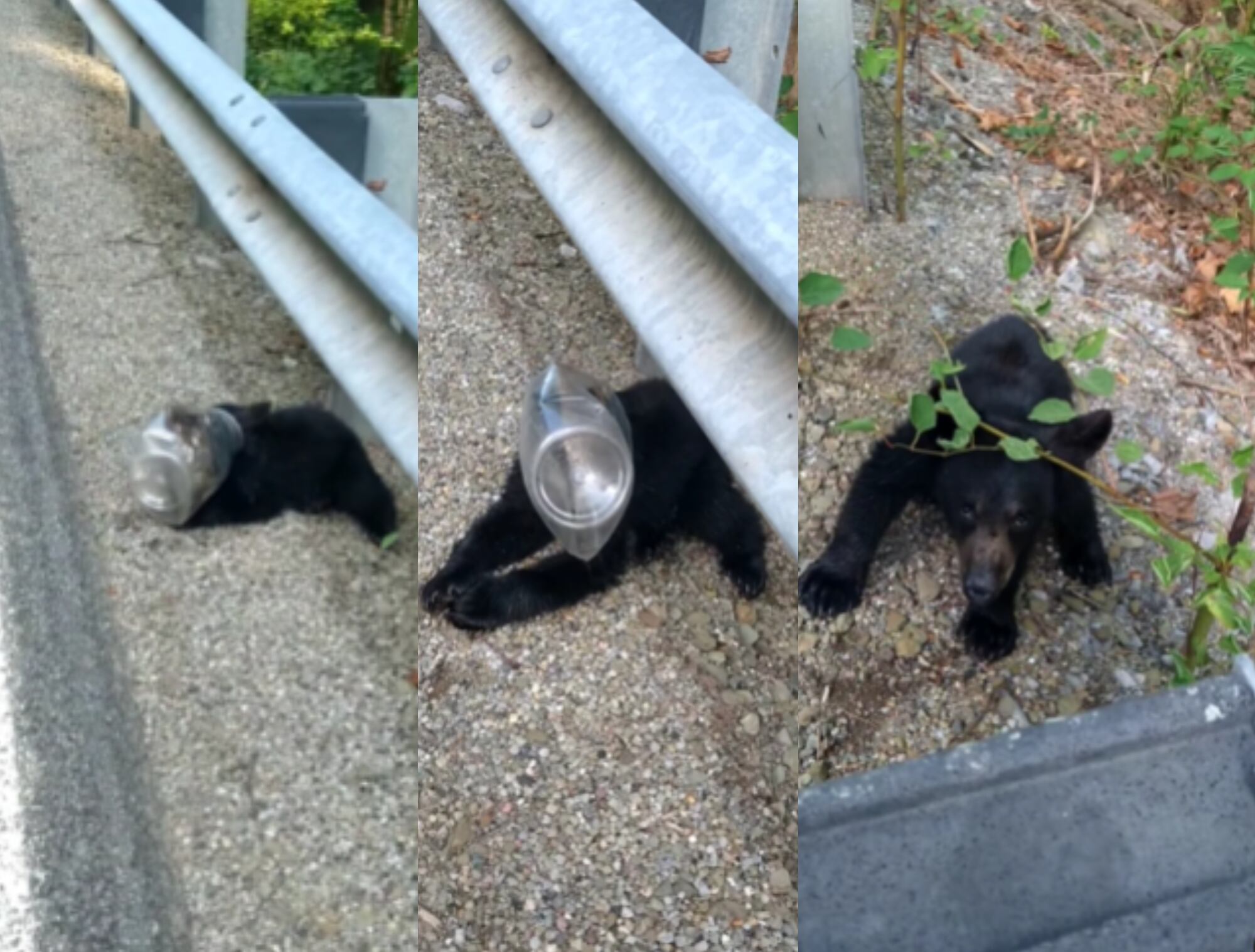 Cortesía Instagram @sarahjlindgren