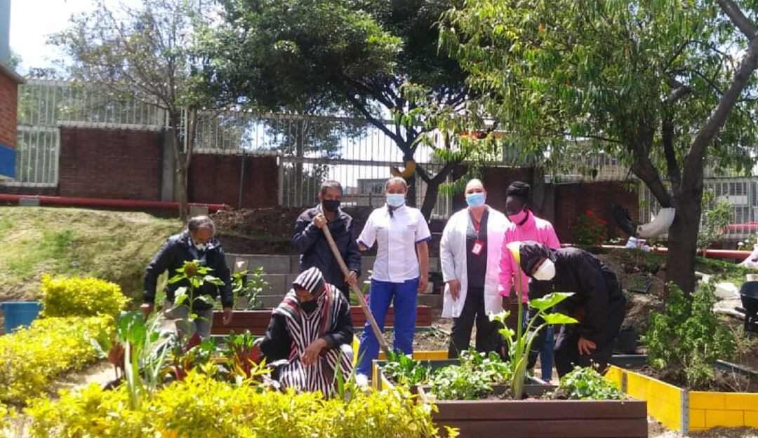 Huerta urbana en Hsopital Tunal de Bogotá