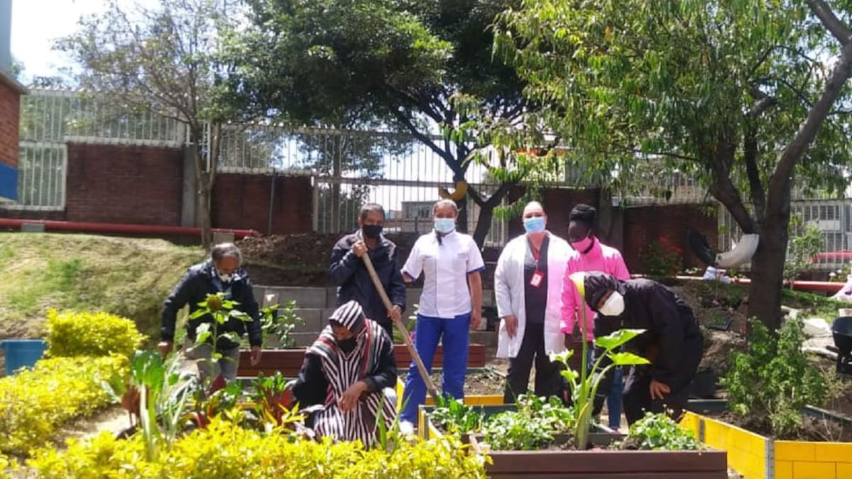 Con cultivos promueven terapia por la salud mental en el Hospital Tunal