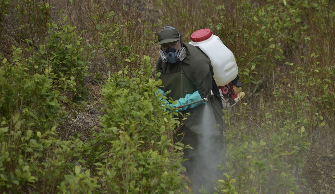 Departamento de Estado de EE.UU. certificó a Colombia en su lucha contra las drogas