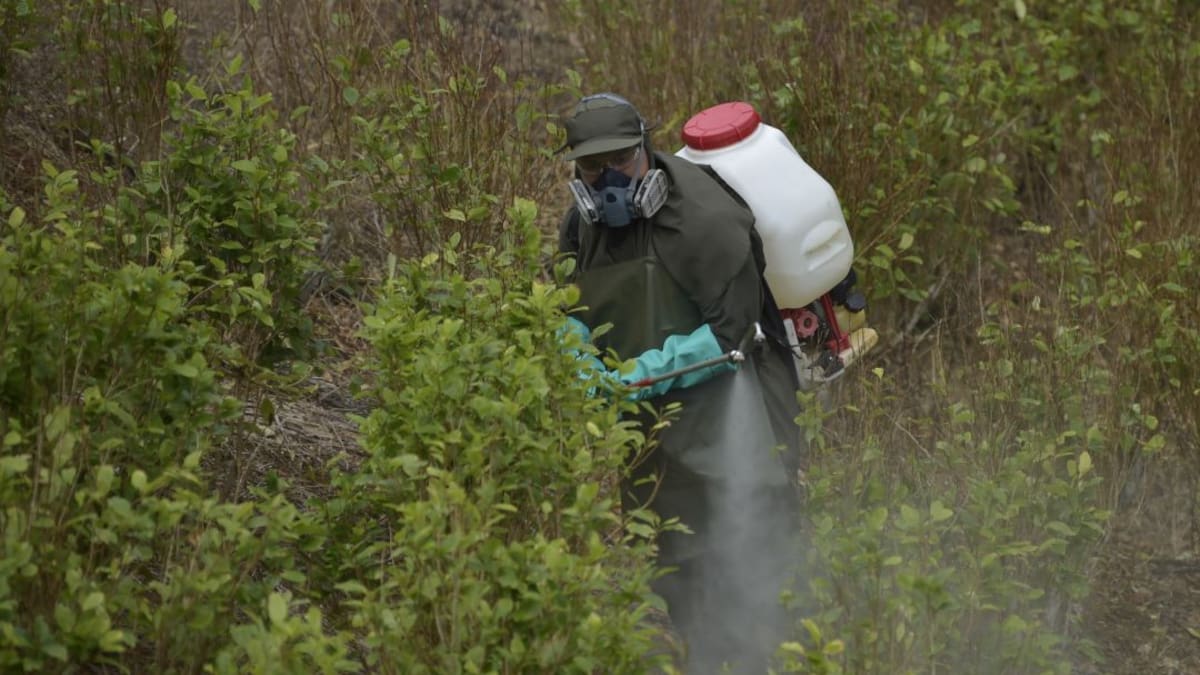 EE.UU. certificó a Colombia por su desempeño en la lucha contra las drogas