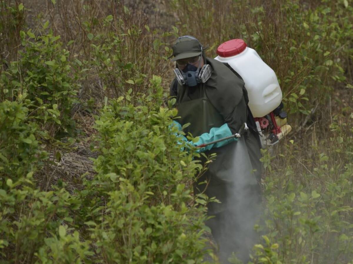 Departamento de Estado de EE.UU. certificó a Colombia en su lucha antidroga