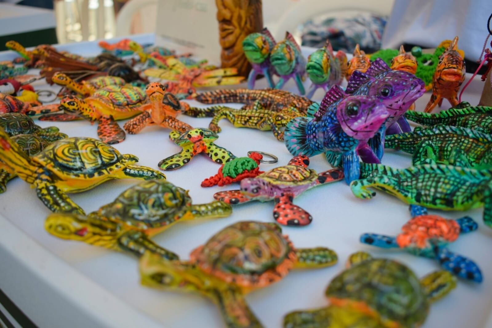 Primera feria regional de negocios verdes organizada por la CSB