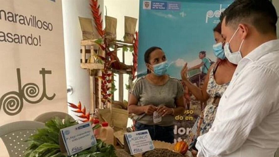 Avanza el programa PNIS para la sustitución de cultivos ilícitos en el Catatumbo . Foto: Cortesía