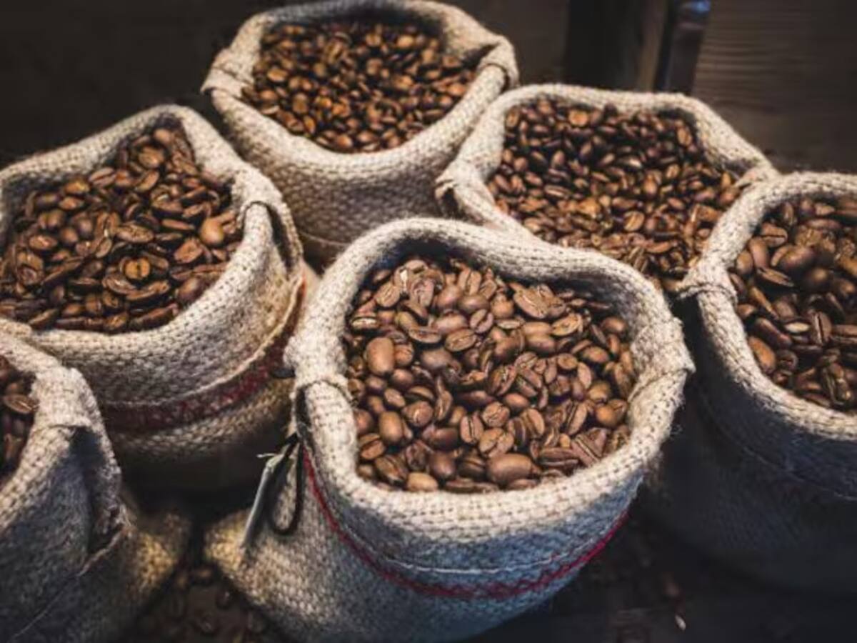 Cafeteros del Quindío preocupados por efectos de la tensión entre los presidentes de USA y Colombia