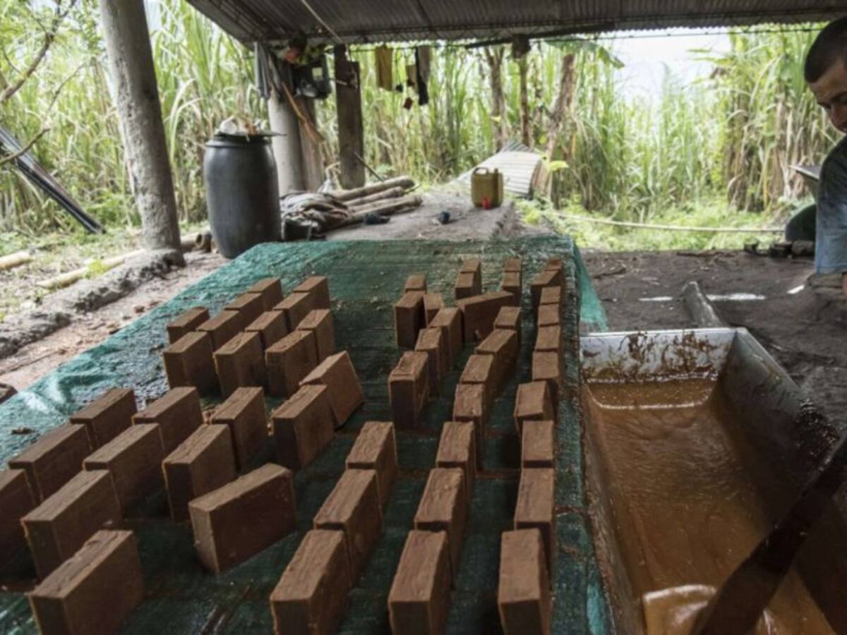 Toneladas de panela represada en la Hoya del río Suárez