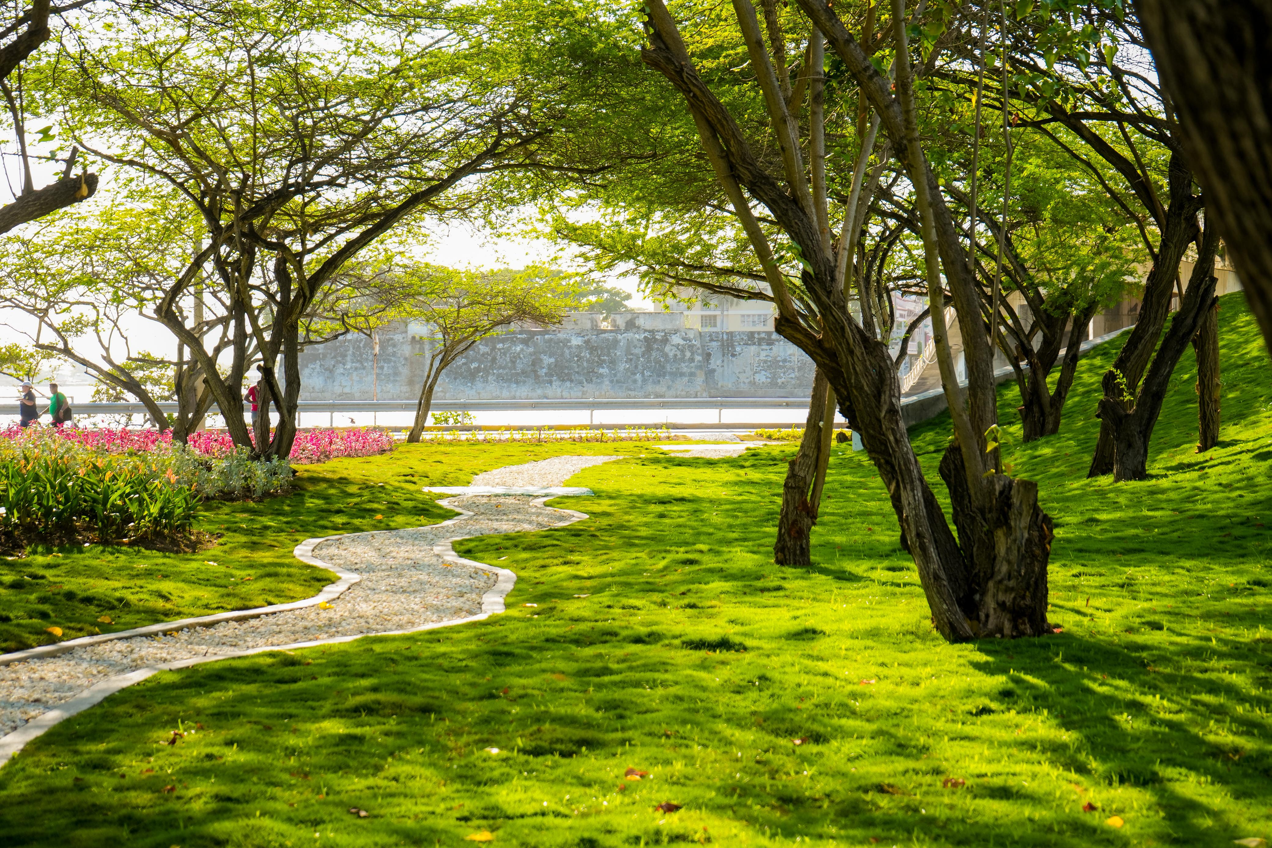 Alcaldía de Cartagena