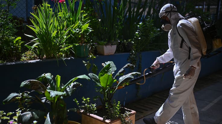 AME9981. CEILÂNDIA (BRASIL), 18/03/2024.- Un trabajador fumiga las plantas al interior de una escuela para prevenir la proliferación del mosquito transmisor del dengue Aedes aegypti, el 16 de marzo de 2024, en la región administrativa de Ceilândia, en Brasilia (Brasil). Brasil batió este lunes el récord histórico de casos de dengue, con más de 1,88 millones de contagios en poco más de dos meses y medio frente a los 1,68 de todo el 2015, el año que detentaba el máximo de registros hasta la fecha. El país ya supera por 200.000 casos el total reportado en el anterior año récord, según los datos divulgados por el Ministerio de Salud, lo que supone un nuevo hito para una enfermedad en ascenso debido al cambio climático. EFE/ André Borges