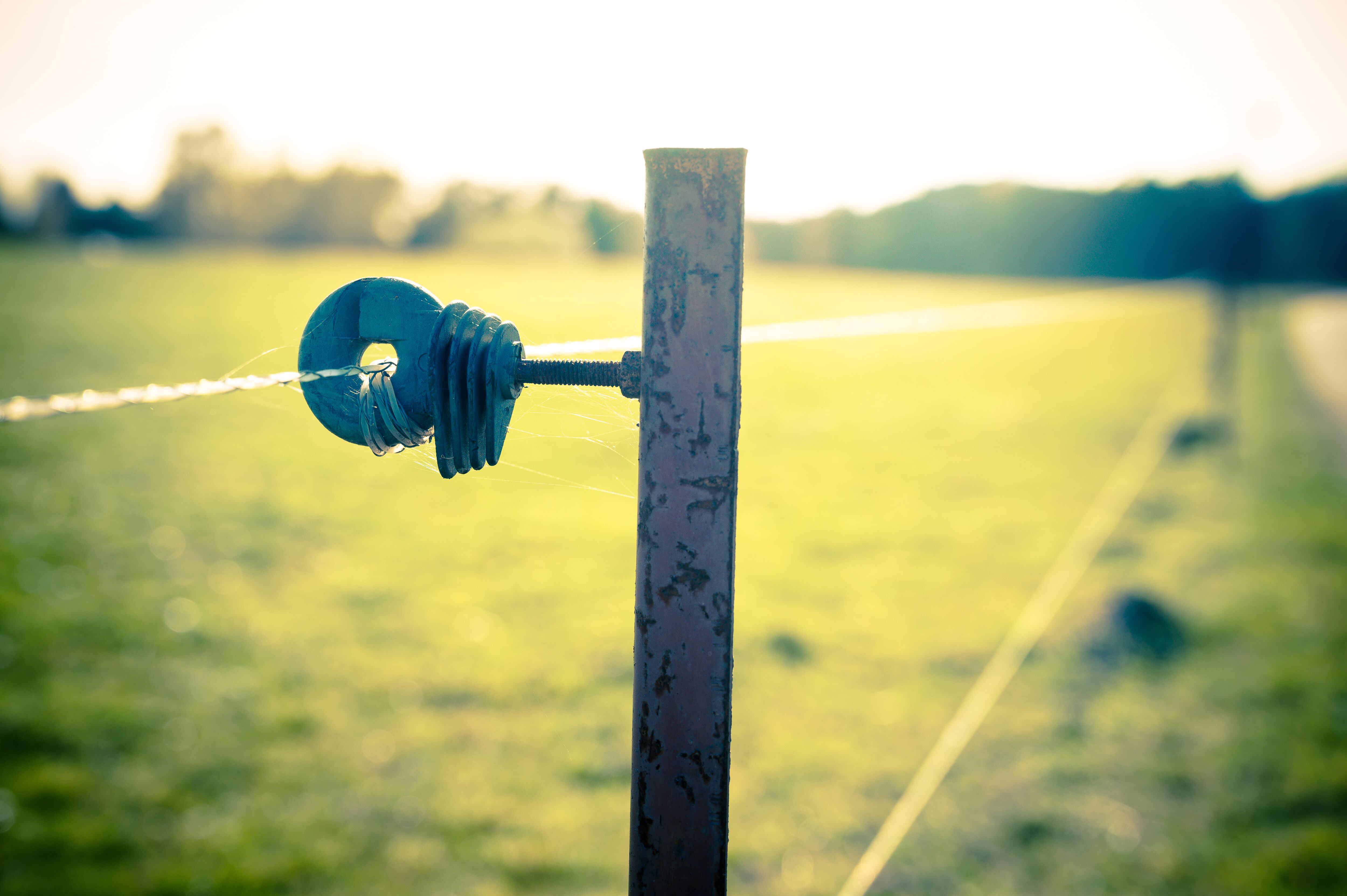 Cerca eléctrica - Getty Images