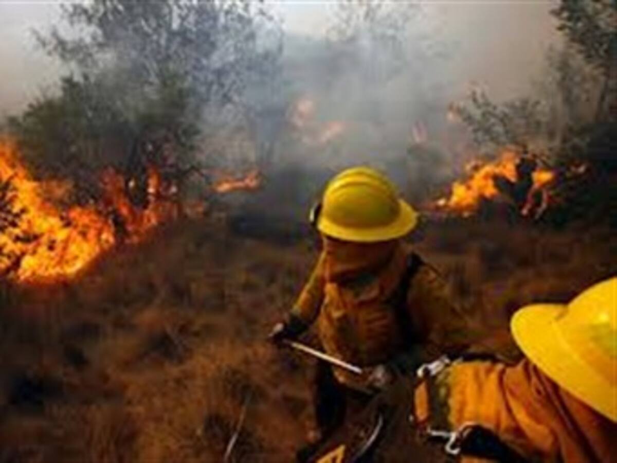 2.743 hectáreas de vegetación han sido consumidas a la fecha por incendios forestales
