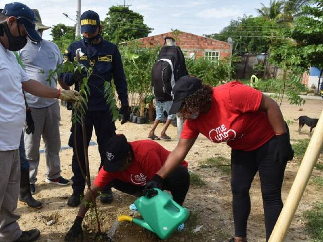 Armada apoya siembra de árboles en un corregimiento de Cartagena