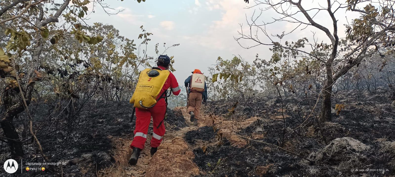 Aumenta el número de hectáreas afectadas por incendios forestales en el Tolima