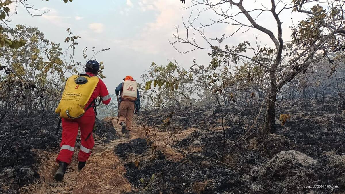 Así está el panorama de incendios forestales en el Tolima