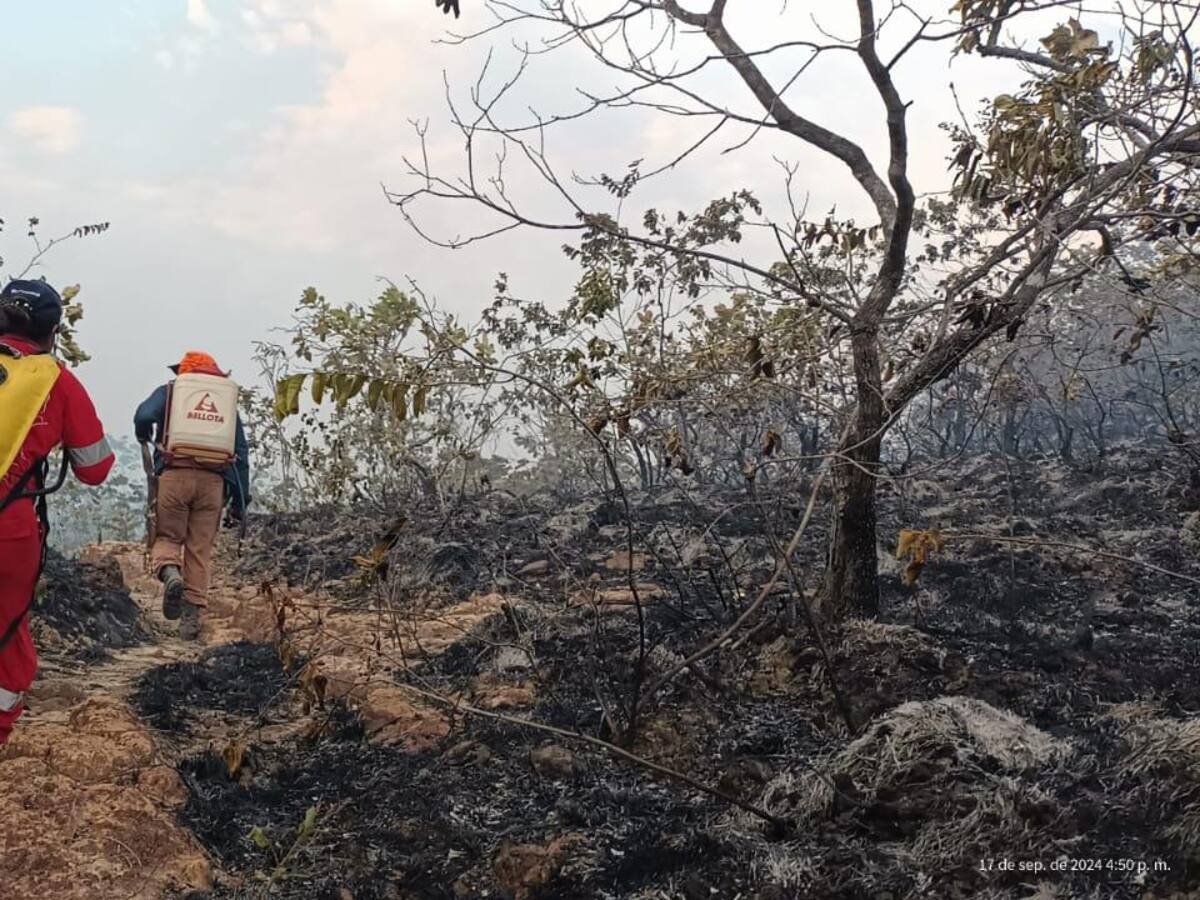 Así está el panorama de incendios forestales en el Tolima