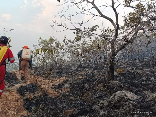 Aumenta el número de hectáreas afectadas por incendios forestales en el Tolima