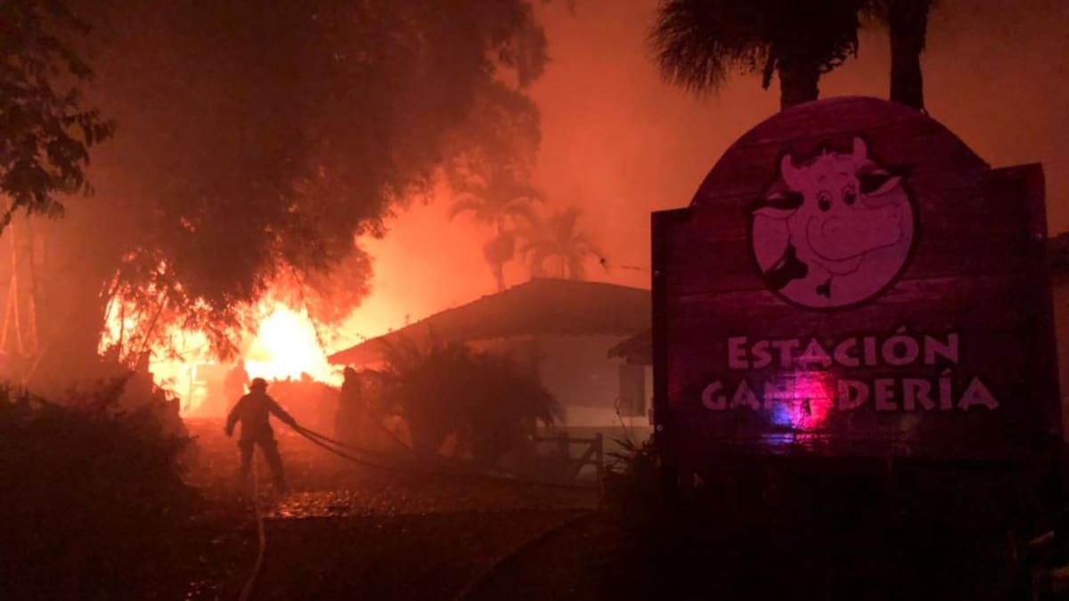 “Durante el incendio no murió ningún animal, fueron evacuados a tiempo"
