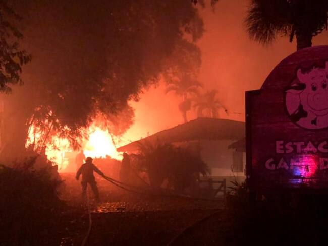 “Durante el incendio no murió ningún animal, fueron evacuados a tiempo"