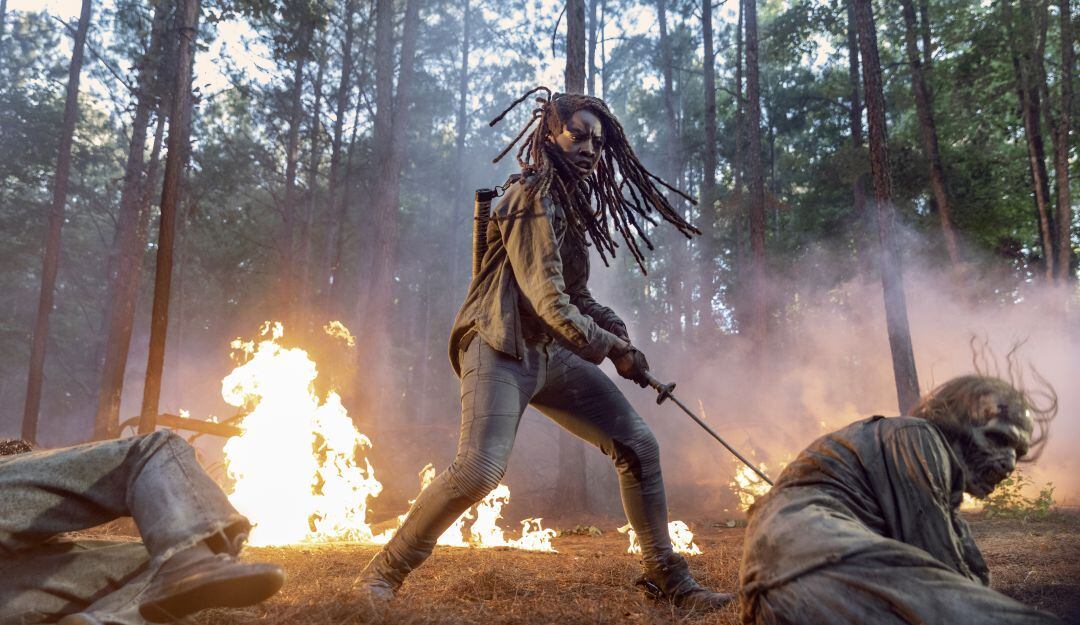 Nuevo fichaje para la temporada 11 de The Walking Dead 
