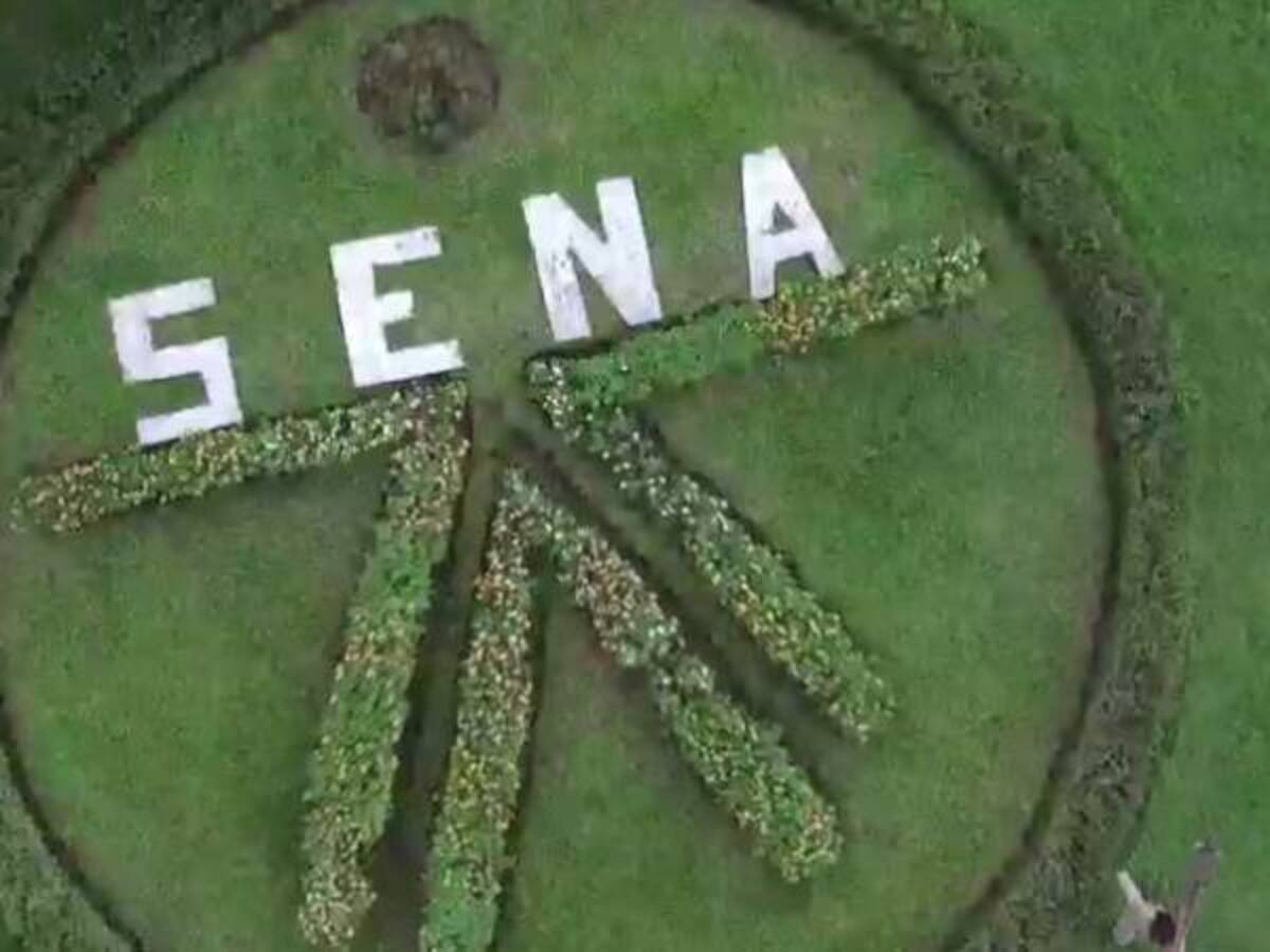 EL Sena en Caldas abre cupos para desmovilizados