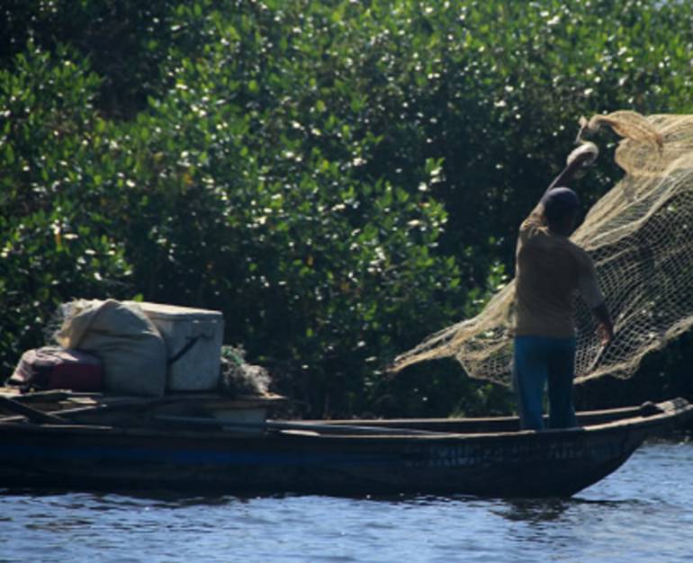 La preocupación ronda a los pescadores de la Ciénaga Grande de Santa Marta. /FOTO GOOGLE MAPS