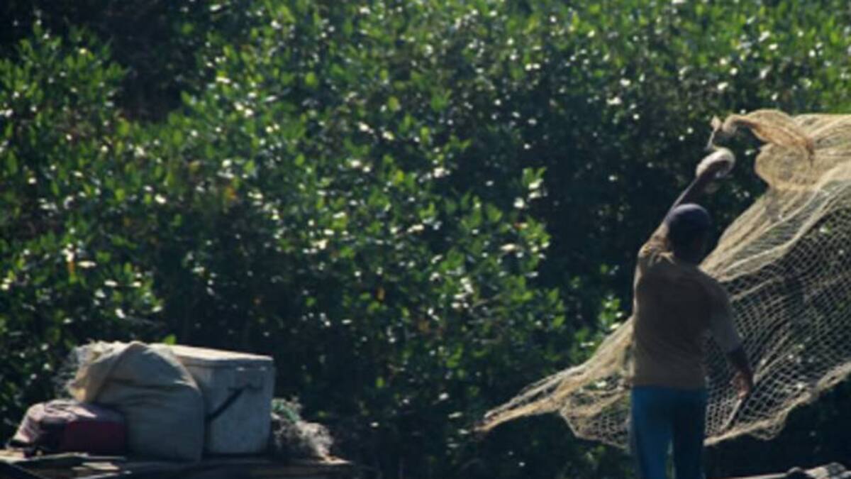 “Hombres armados intimidan a pescadores en la Ciénaga Grande”: Personería de Puebloviejo