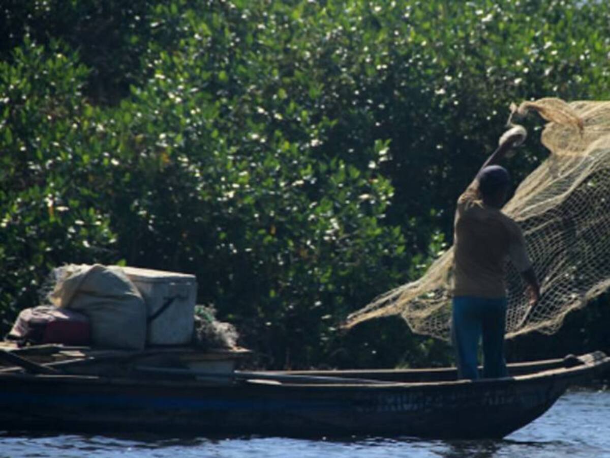 “Hombres armados intimidan a pescadores en la Ciénaga Grande”: Personería de Puebloviejo