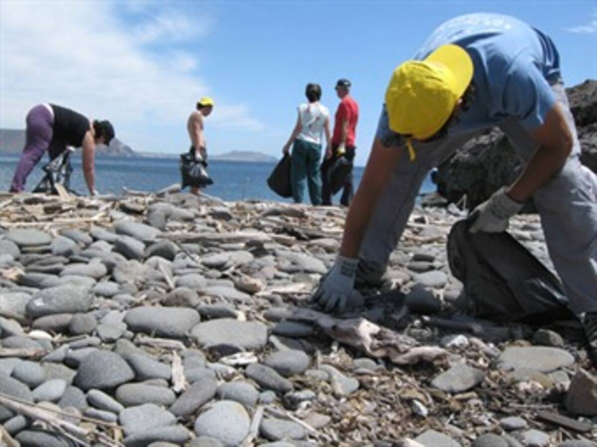 Positiva jornada mundial de limpieza en las costas colombianas