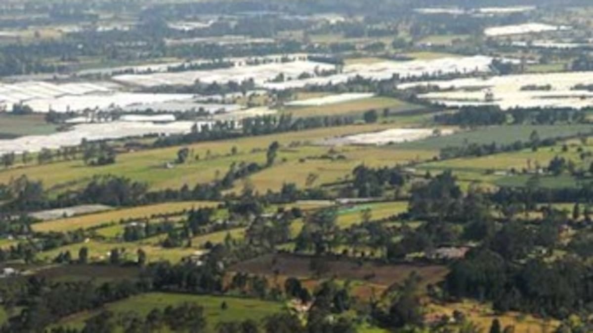 U. Nacional trabaja por acuerdos para la Reserva Forestal del Norte
