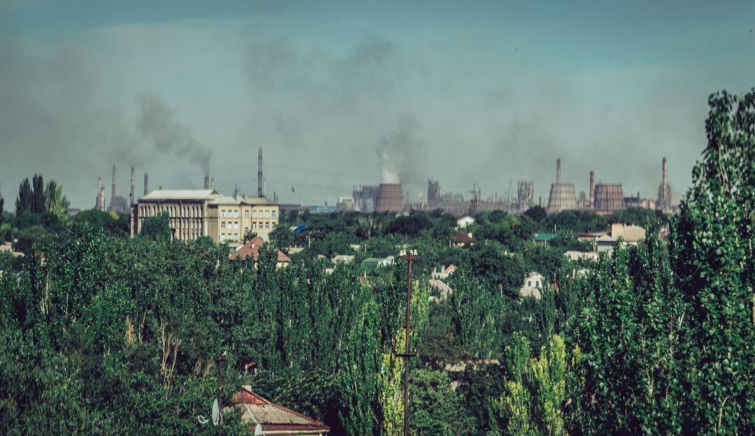 Imagen de referencia