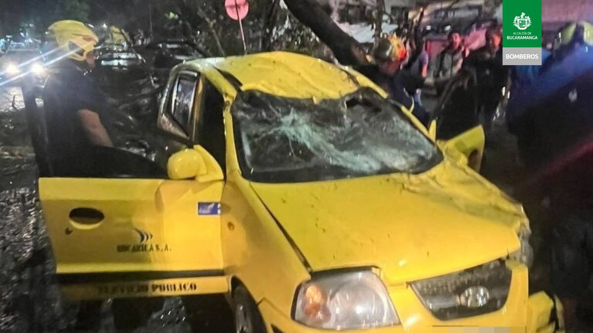 Un taxista herido y dos vehículos afectados deja la caída de un árbol en Bucaramanga