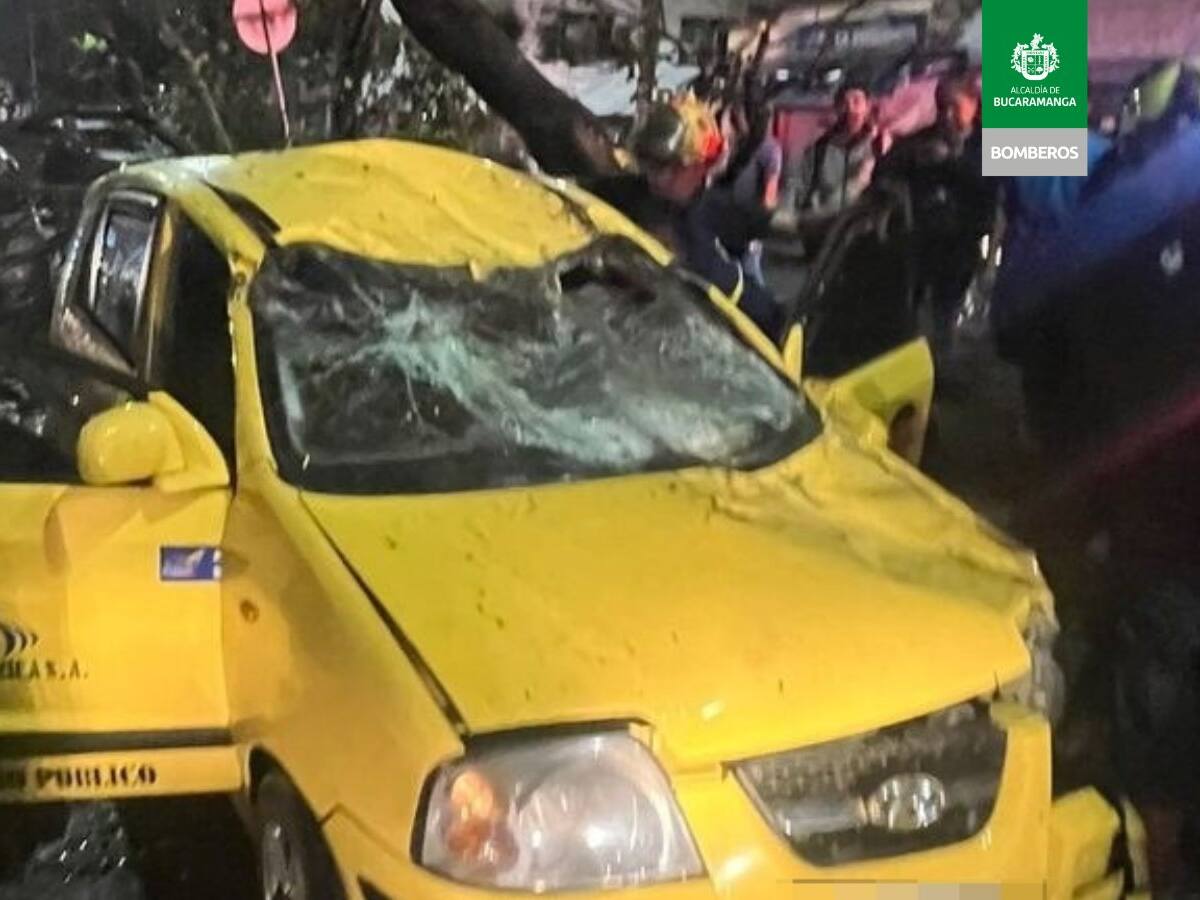 Un taxista herido y dos vehículos afectados deja la caída de un árbol en Bucaramanga