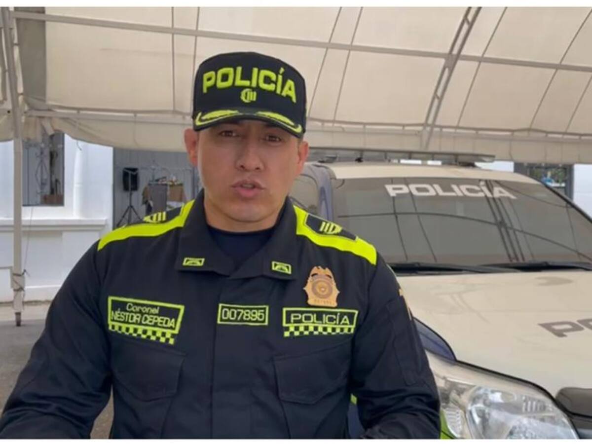 La Policía captura más de diez personas en diferentes zonas del Tolima por homicidio