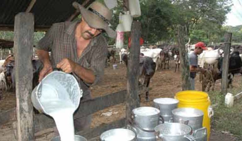Ganaderos de Norte de Santander.