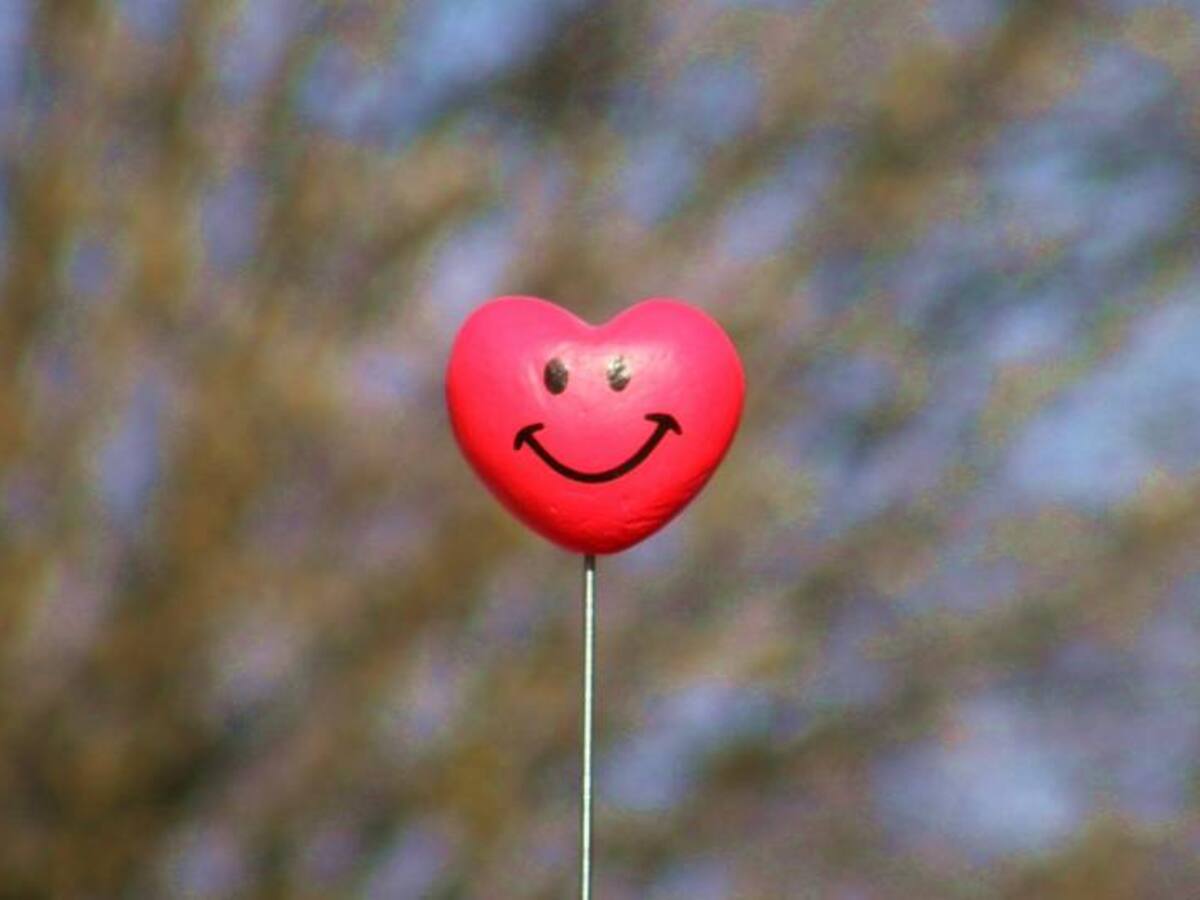 El corazón, una maquina casi perfecta