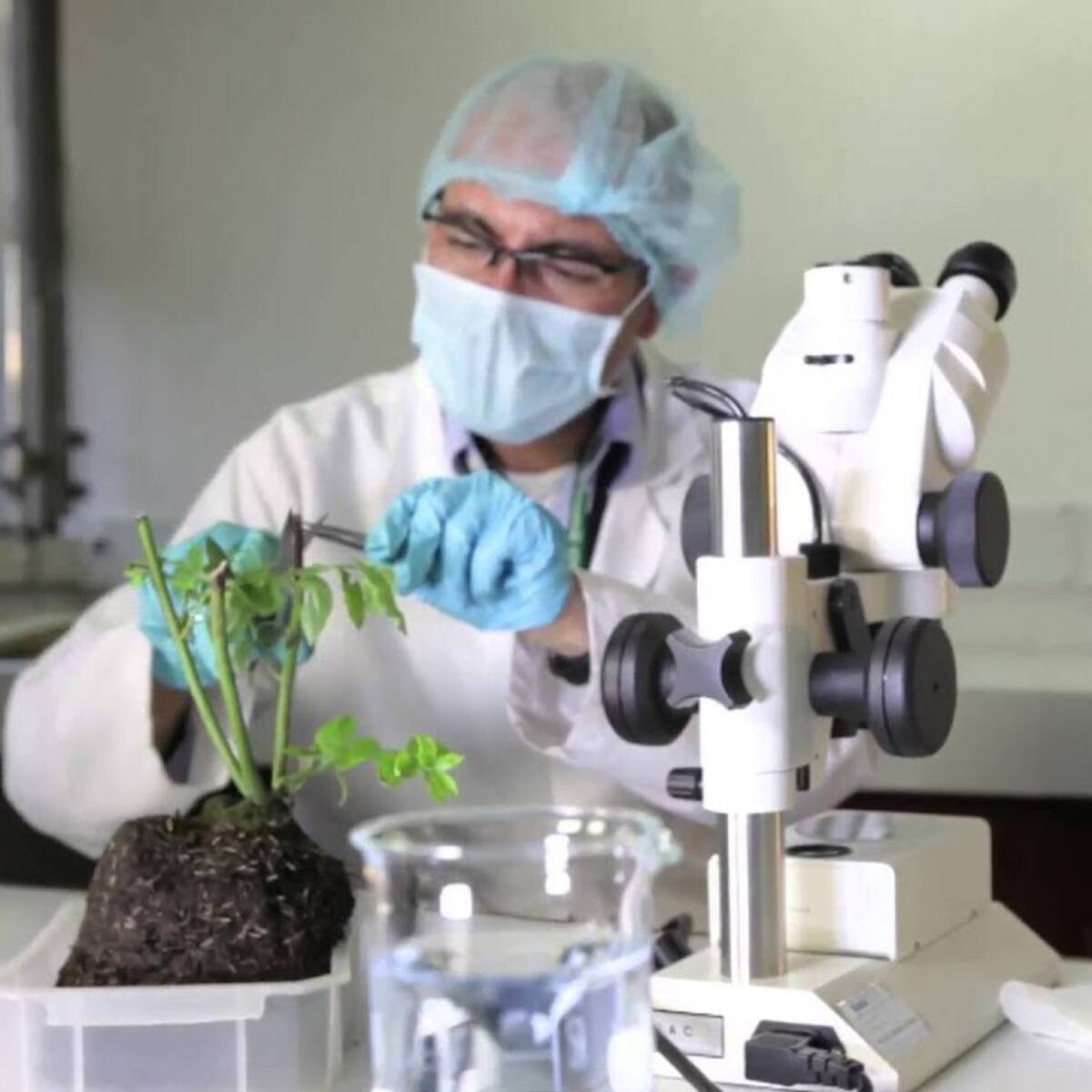 Con Laboratorio Nacional de Suelos del Igac establecen medidas por fenómeno de El Niño