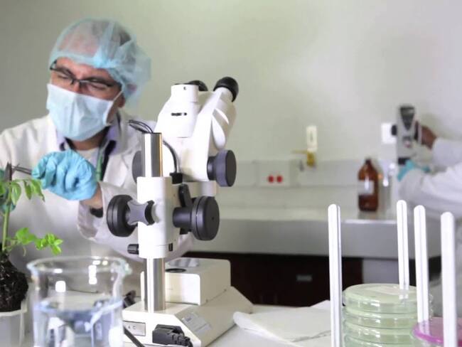 El director del IGAC, Gustavo Marulanda