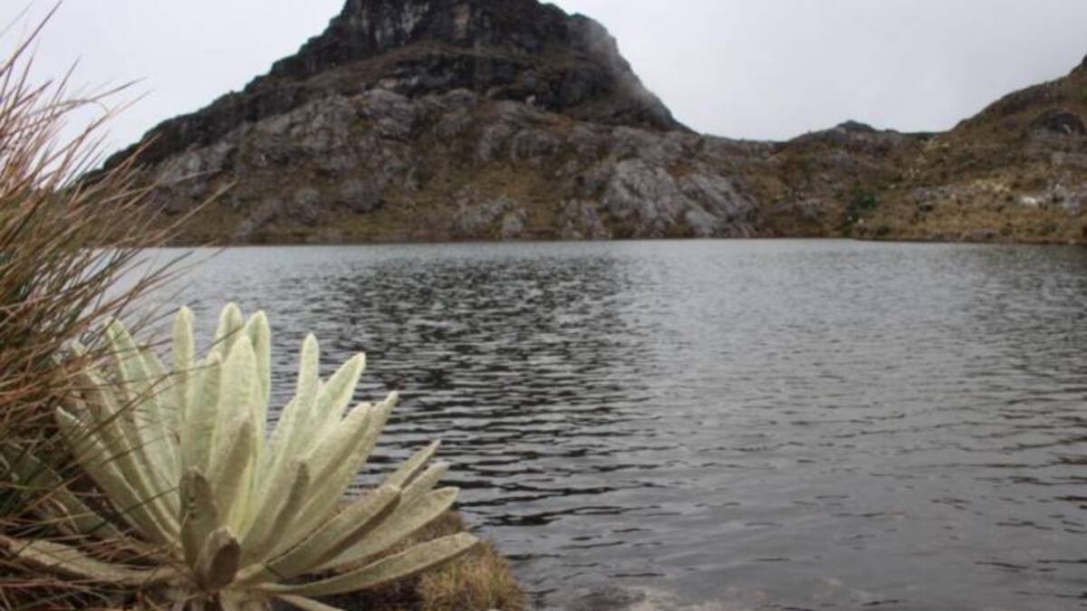 Mayerly López, defensora del páramo Santurbán