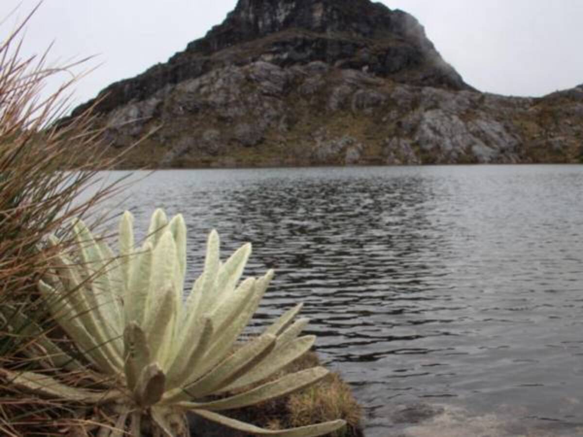 Defensores de Santurbán rechazan presión de Procuraduría para delimitar el páramo