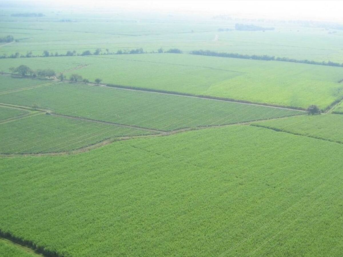 Bioenergy, el PowerPoint más caro de Colombia