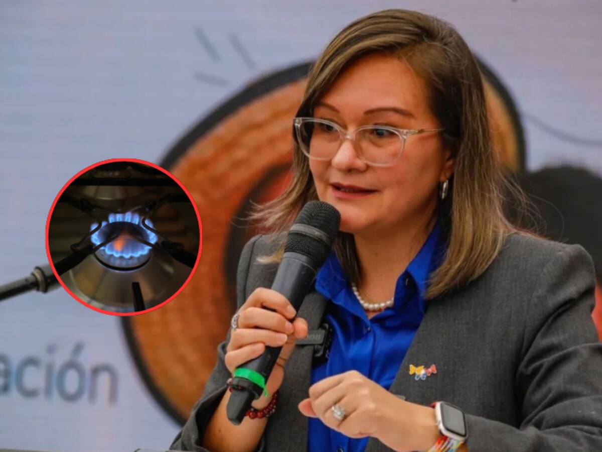 Cielo Rusinque sobre visitas a empresas de gas: “No es persecución ni intervención forzosa, ya estaban planeadas”
