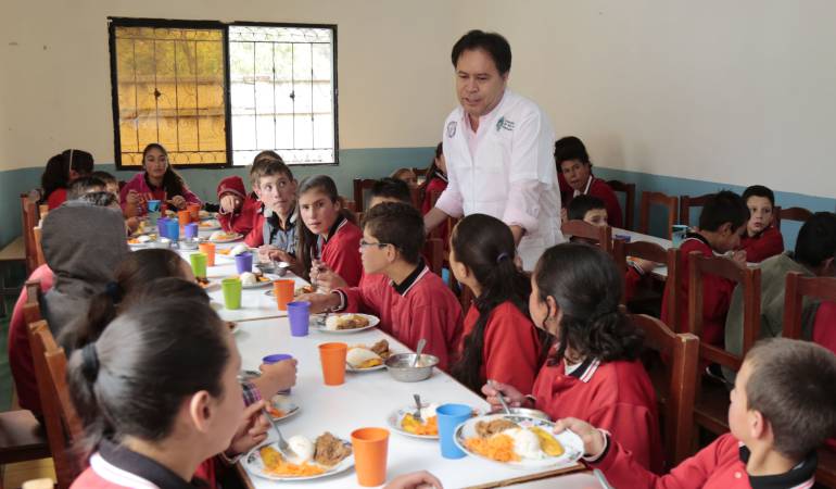 Programa de alimentación 