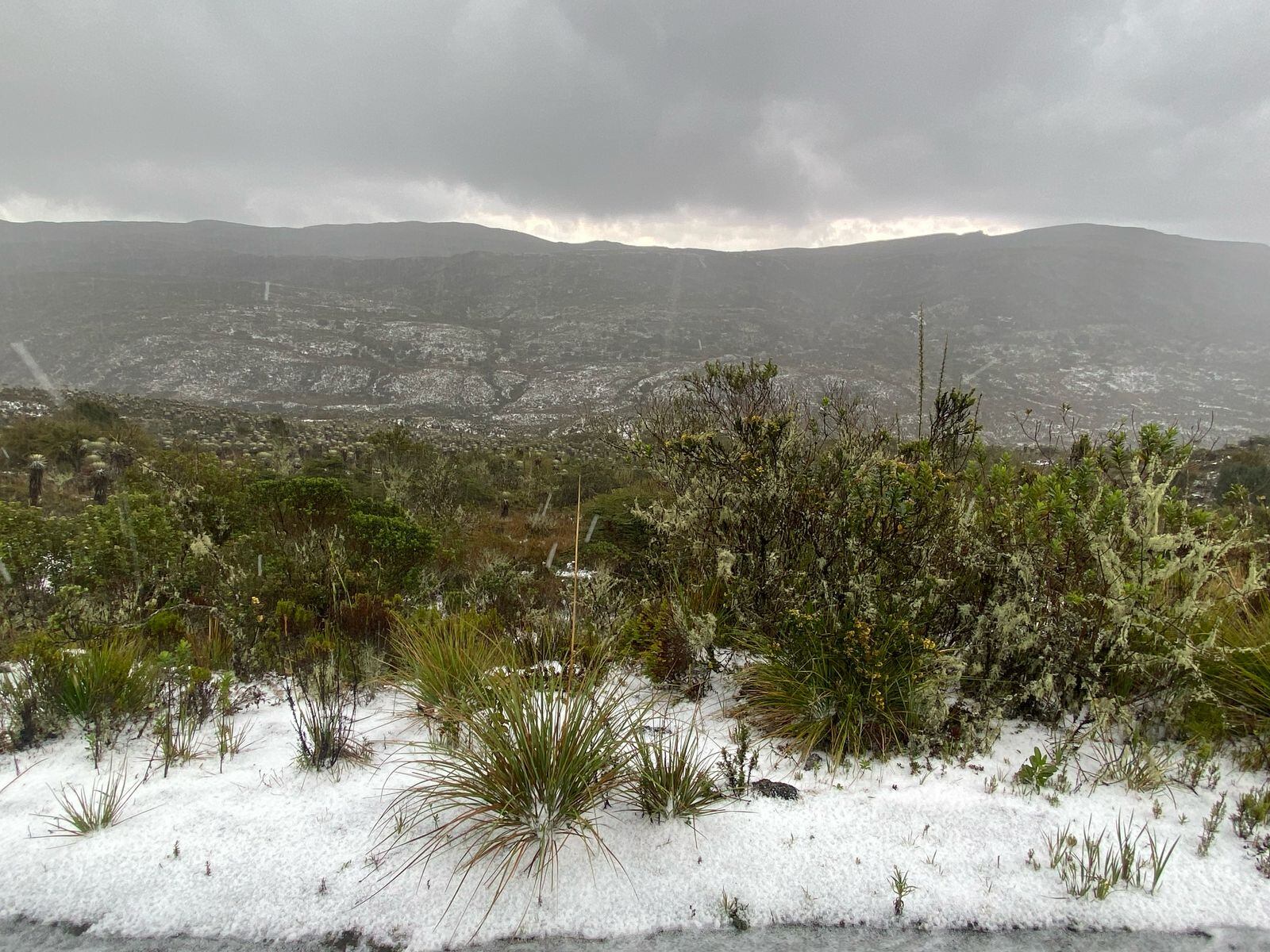 Cortesía: CAR Cundinamarca